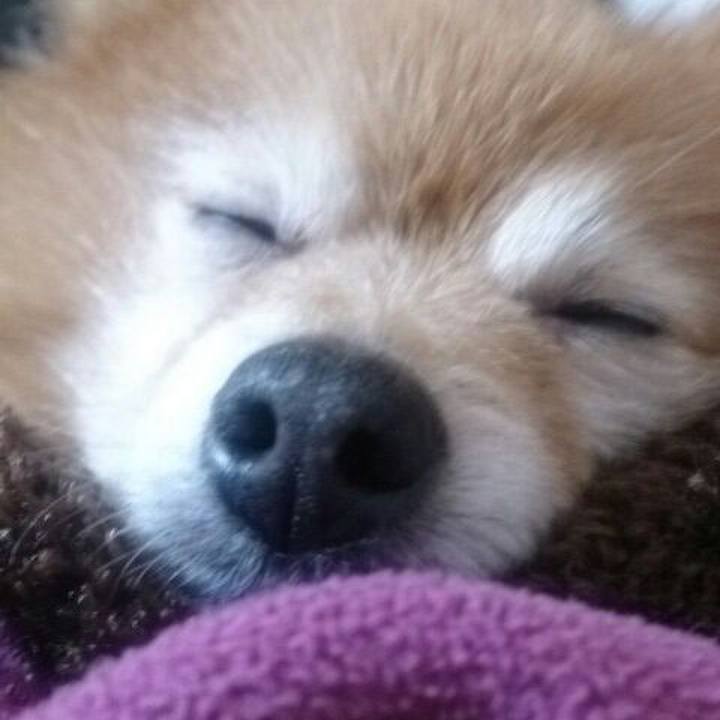 Ca63a872 3438 49d2 8fb1 0f4880907043