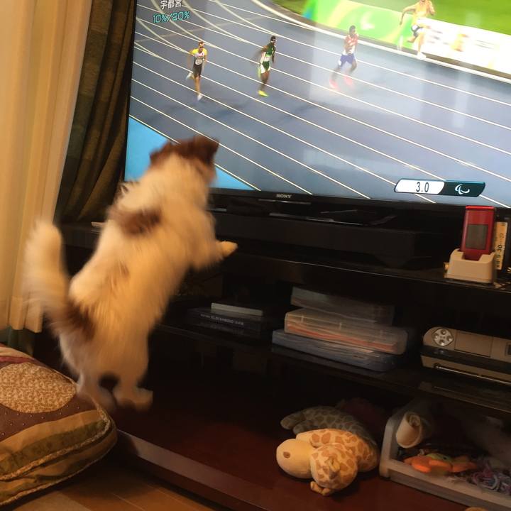 Ca63ab2d dce6 4302 9540 269a0de07bf2