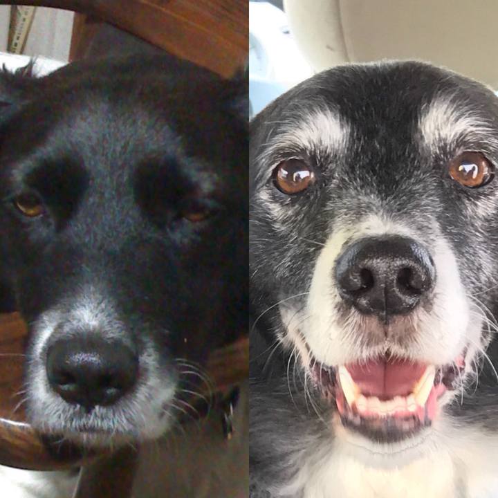 Ca63ba11 f051 4a53 a865 47f7c7908c2b