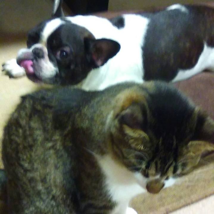 Ca63e341 0999 4185 b251 4e9bcaf470a6