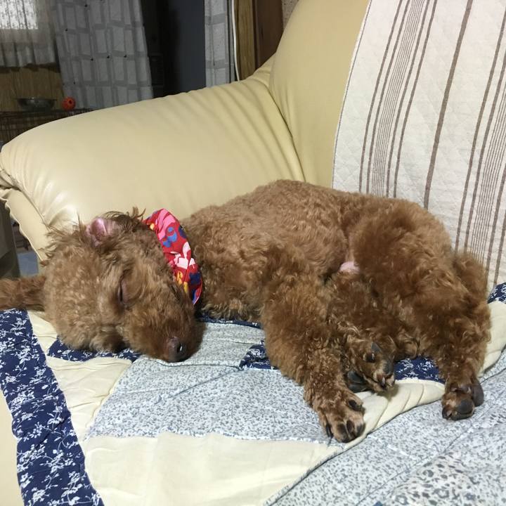 Ca643ddd 30f5 4790 b925 7edb0db383dc