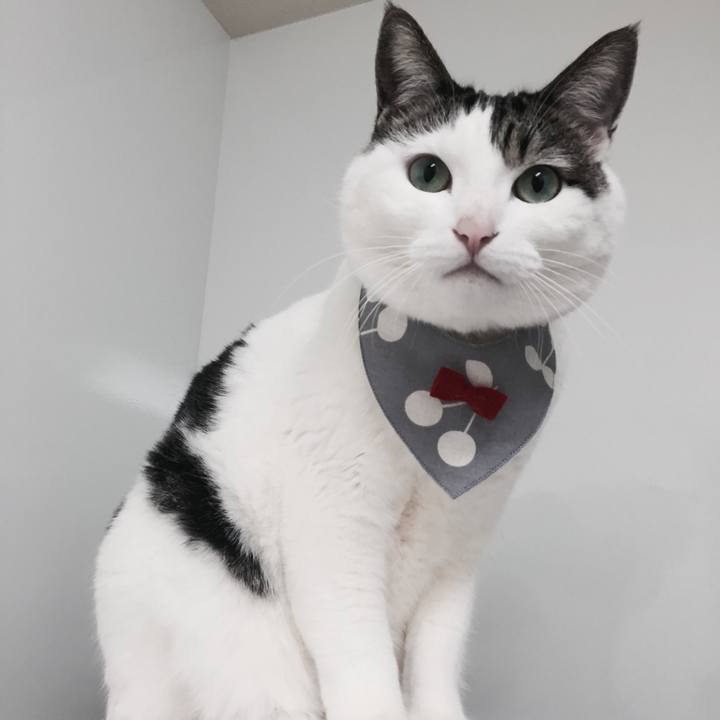 Ca6469d4 1756 435d b846 1bc2479f5c8e