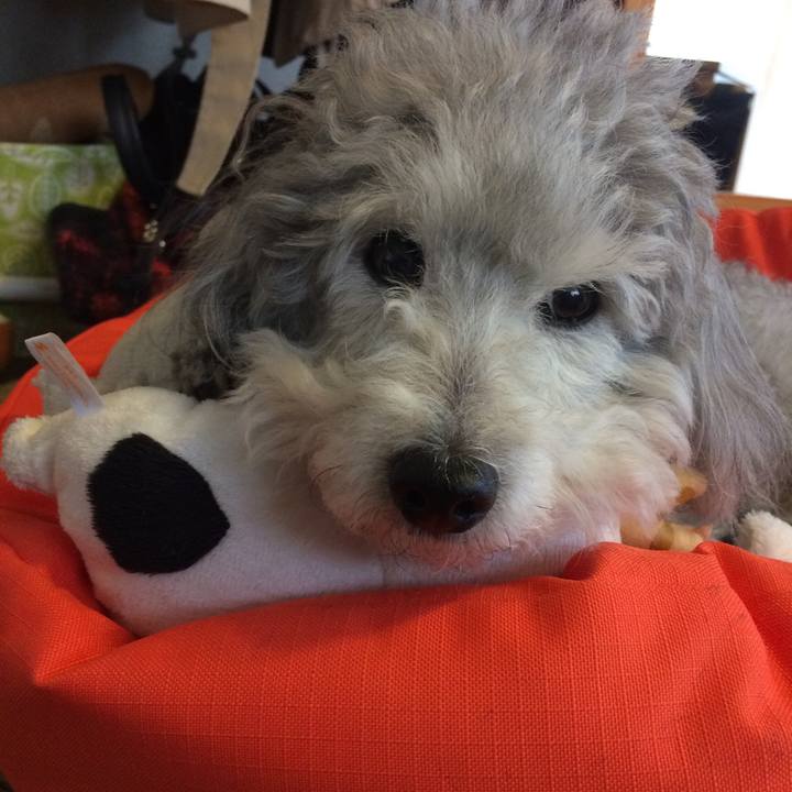 Ca647d08 6c59 4b0a a6bf dbd82e370039