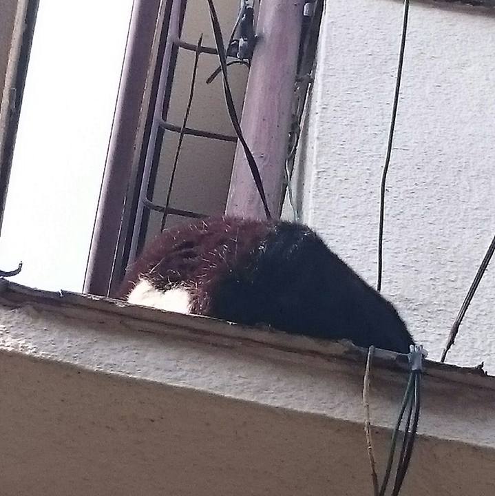 Ca65a052 f971 42aa 8a41 9c60657d9867