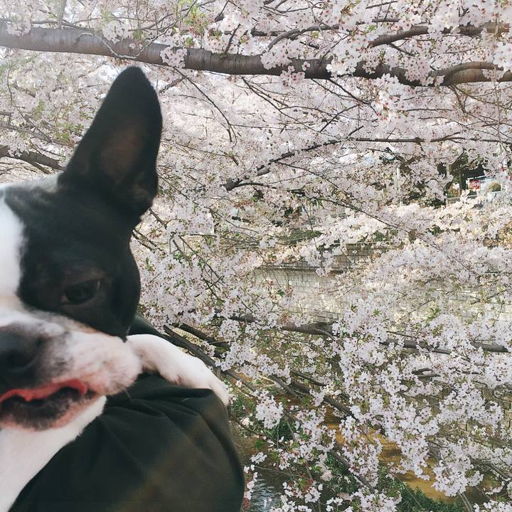 Ca6607ea 1bbd 4f43 827e d6d41228fb77