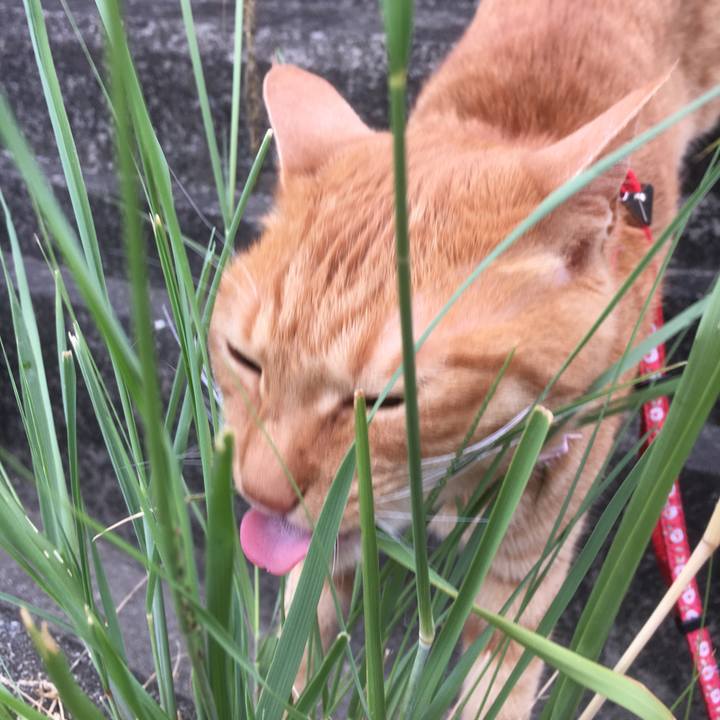 Ca665d11 adda 45fb 9d04 5127f32c8244