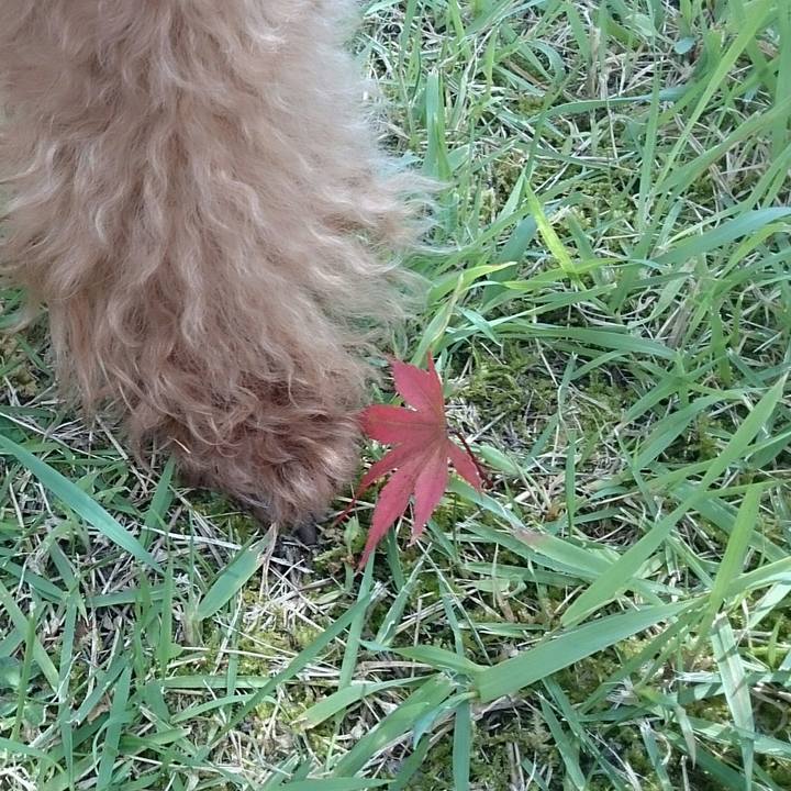 Ca67be12 7179 40d9 8187 8ab7b2e2bf4e