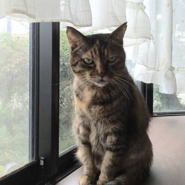 Ca681e13 b824 4daf bd9e e5e14febdfca