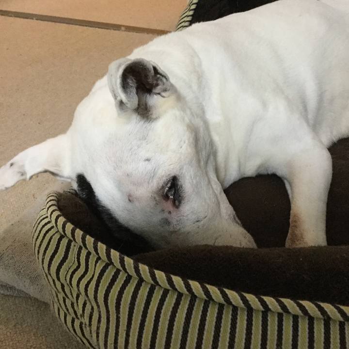 Ca68278d 6f7a 46d7 a42b d86a7ee67a02