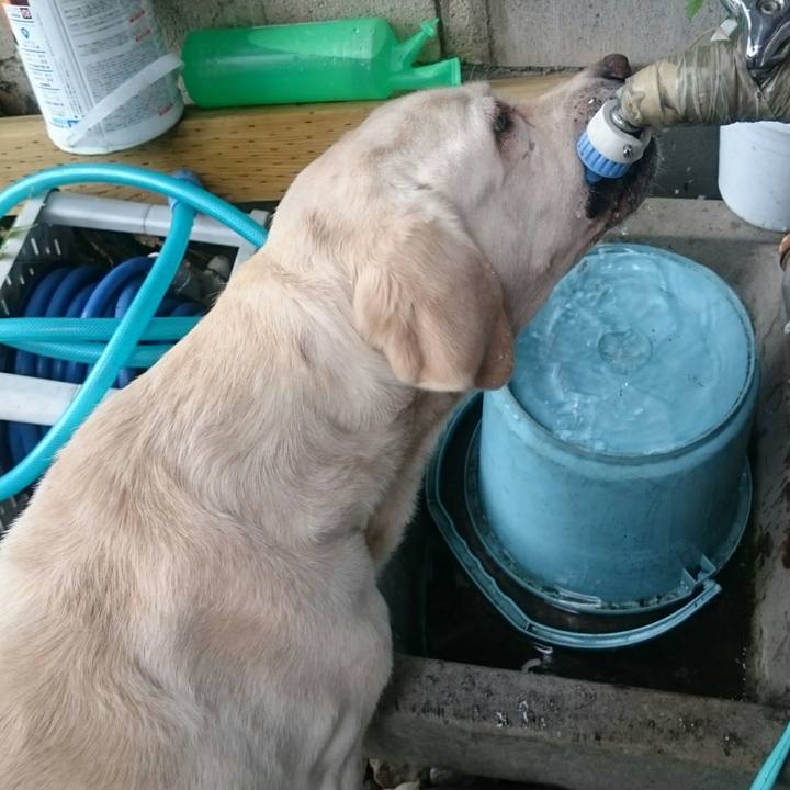 Ca684730 c279 48d9 a68c 36cdf87d895e