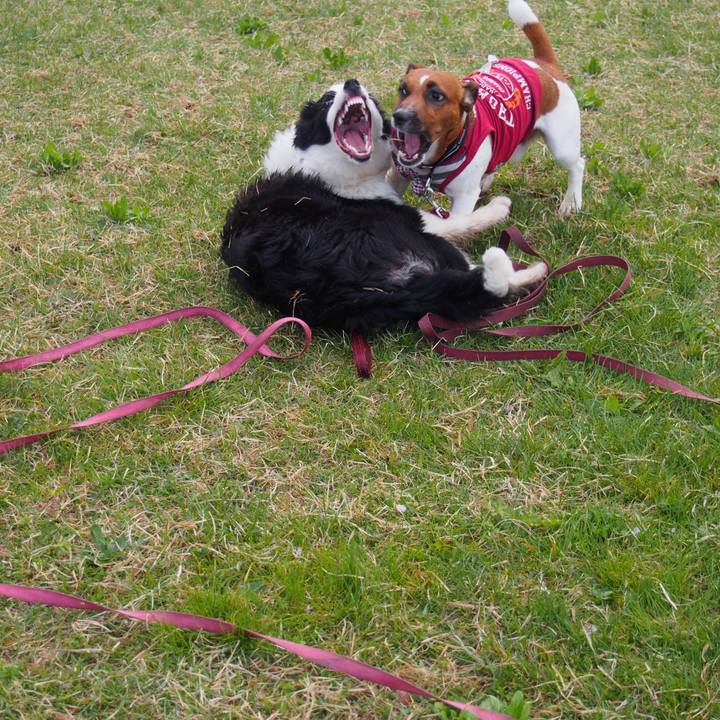 Ca68abfc 56b3 42f8 8f84 ba262058087e