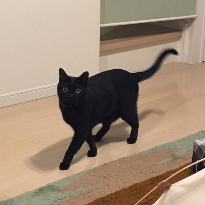 Ca68db53 3bb7 4254 8e32 d2d5f2f5cee0