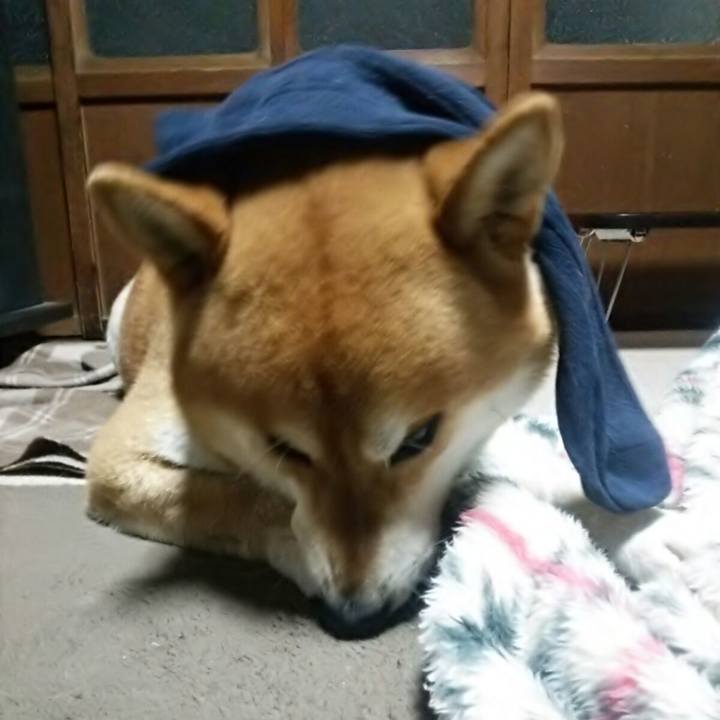 Ca6931fc a16c 4607 ab13 0243fa5f408b