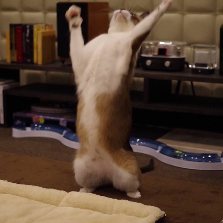 Ca6a292d c29e 4a4d 958b c0f30b657d74