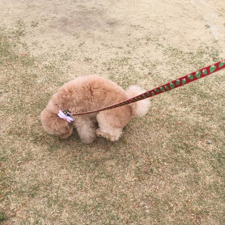 Ca6a4925 7461 4264 bb52 9502ca4cc577