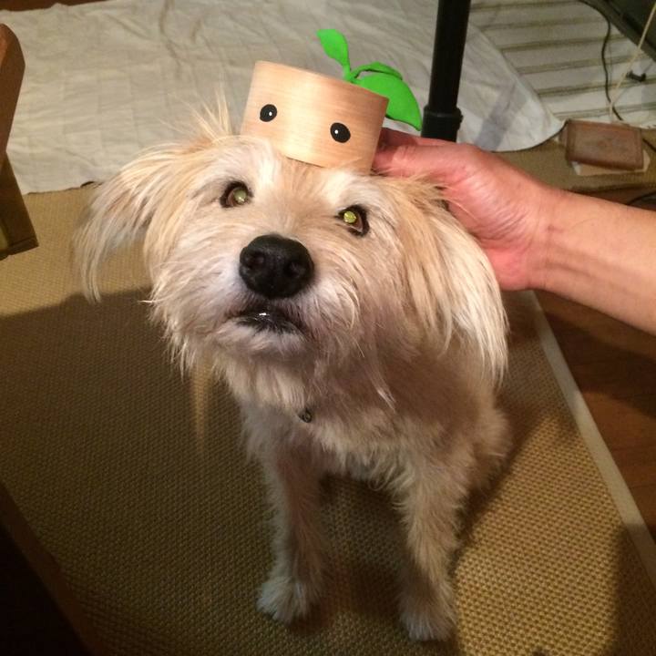 Ca6a55e6 9c8b 42aa a5fa 7b77775bcfc3