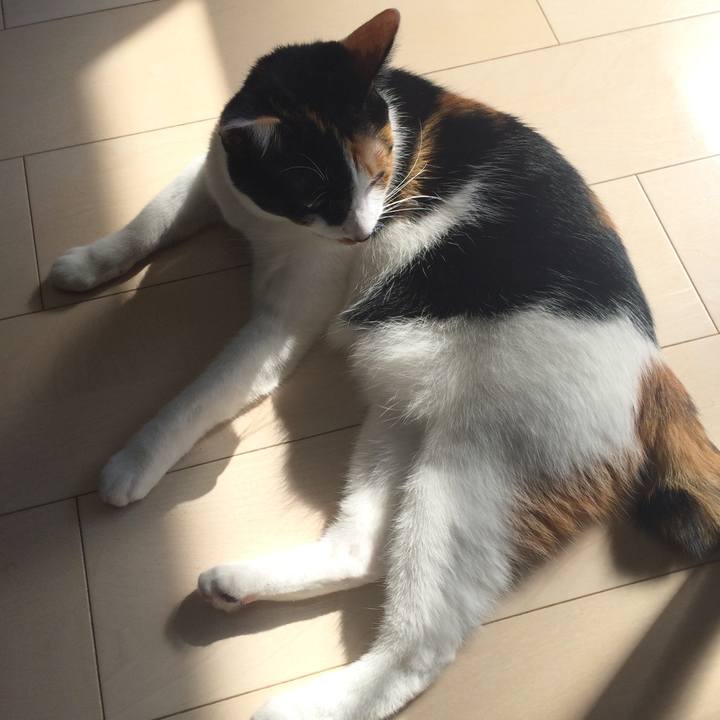 Ca6ab5f3 4863 4f64 b04f 8c031ab970bc