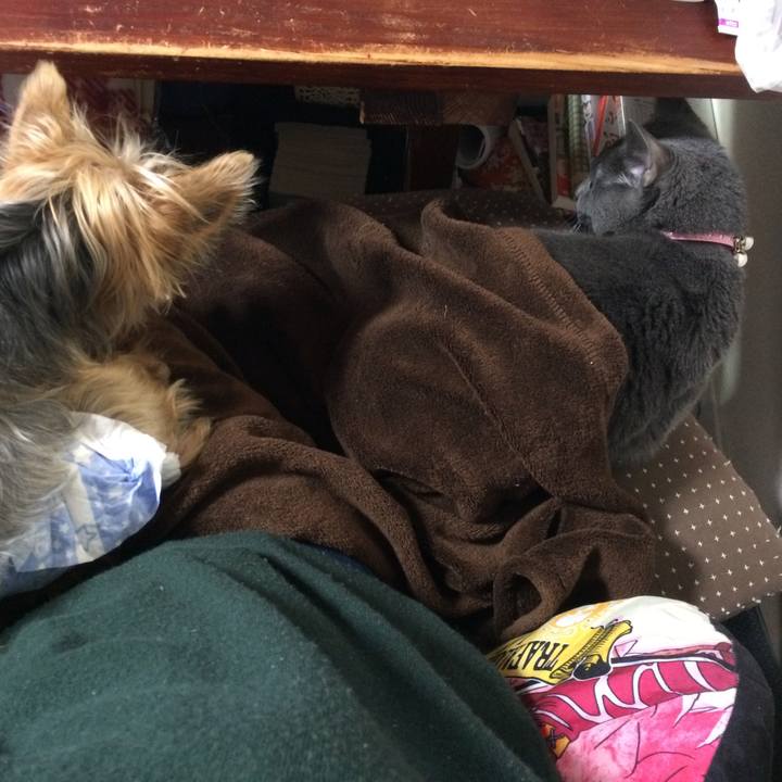 Ca6ae38e a6e9 48ab aa61 1c2bc349db47