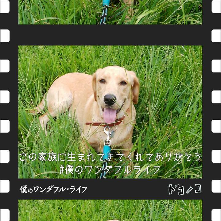 Ca6d524f e27d 4228 843a ad2f0963bae6