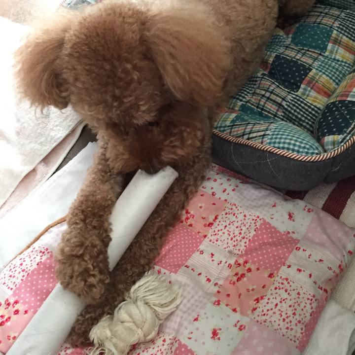 Ca6d53b5 fbdb 43ca ac01 ad73f8e3e296