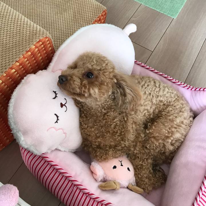 Ca6def3d 3fde 457a abc7 96bb7132d031