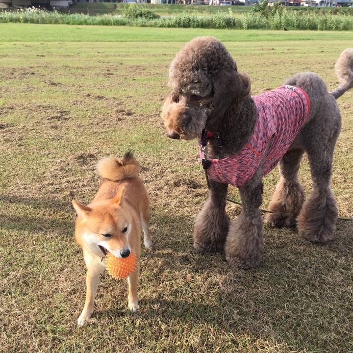 Ca6e011e 9bdc 4fd7 afe6 c6211d979fdd