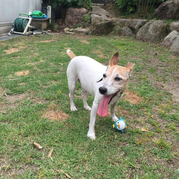 Ca6e2473 4720 4ce1 875b f831481f75e3