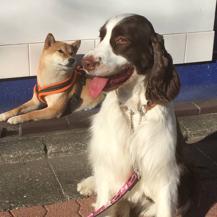 Ca6e48de dd6d 4d3b a56a 4fe7b69ec4a2