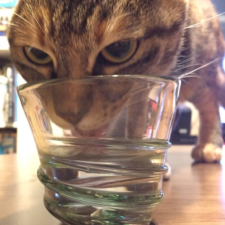 Ca6e574c a9bc 4352 8ae6 6a1ed7e42e04