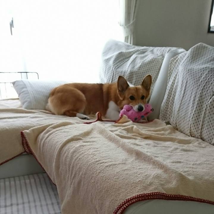 Ca6e5c78 5a75 4868 b8aa 0424f04034ad