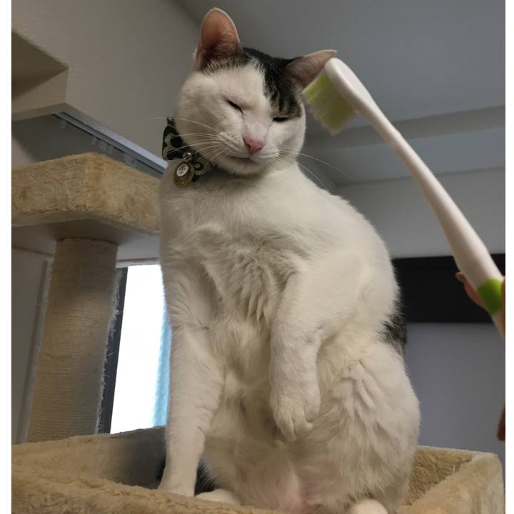 Ca6ef08d d45a 4b03 b031 888e3b17fa06