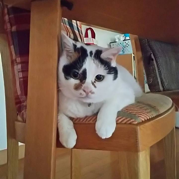 Ca6f6c6e a27f 4840 9352 3a756584e6c0