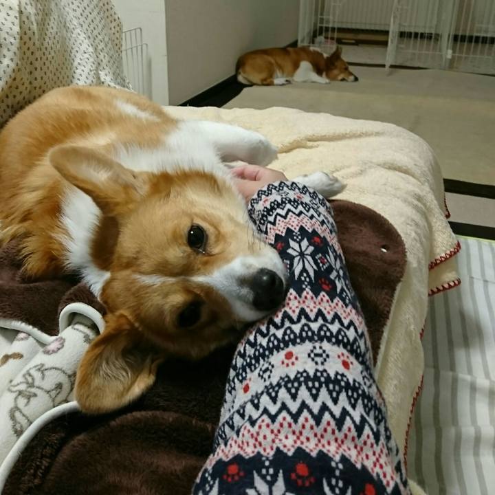 Ca6feb50 f3f7 4d0a aaee f5f2a71e5dfe