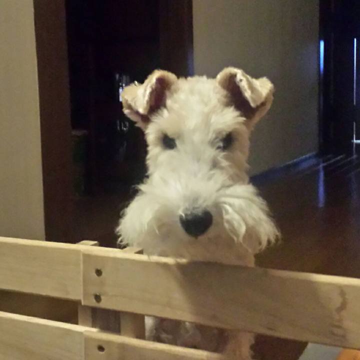 Ca7018b6 a24d 4dc2 986c cd0156aa7db5