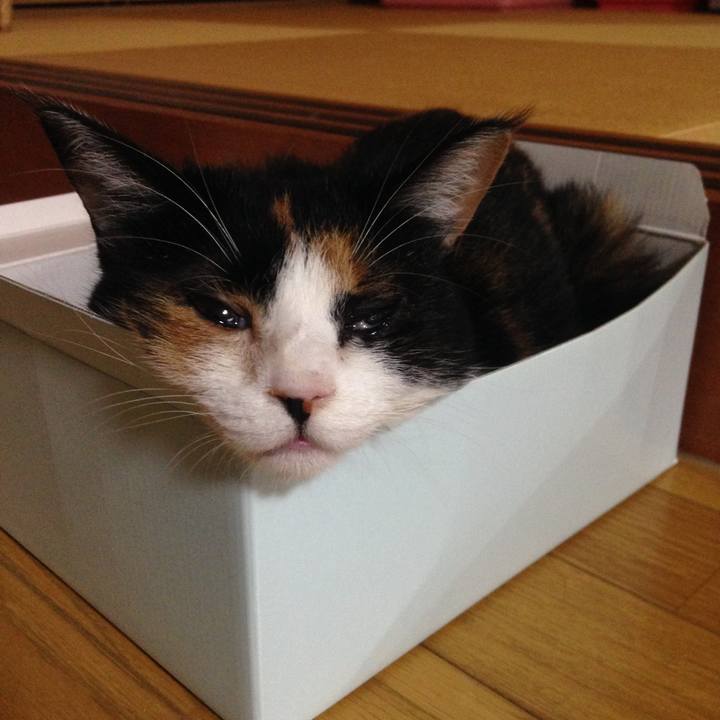 Ca70b96b e945 4448 ae1b b252a6dc5896