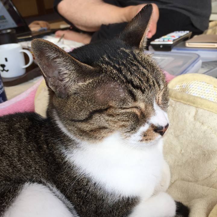 Ca7118cc 31e3 4a06 b33d 38dc4b30ee57