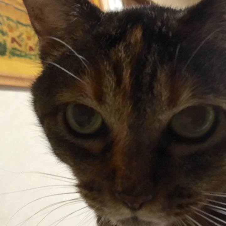 Ca7161f5 62c8 4878 9e3d de734685b628