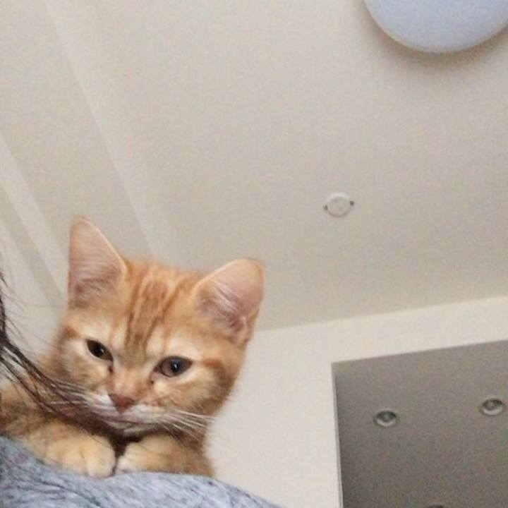 Ca71a968 2c43 4117 ba71 a468914e31ff