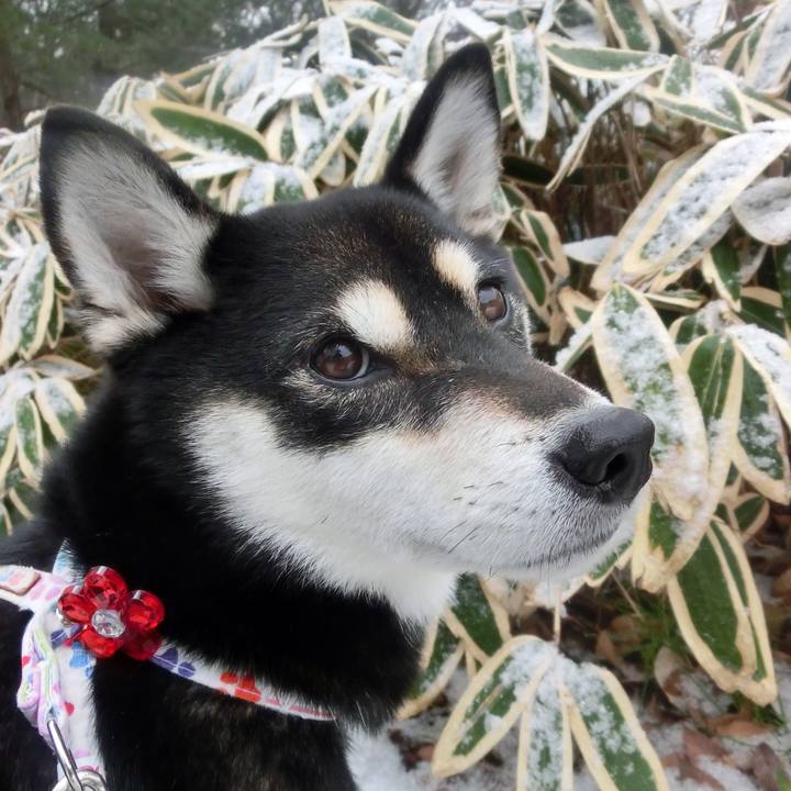 Ca71d5fe 4184 4a55 888b 83923f678ef1