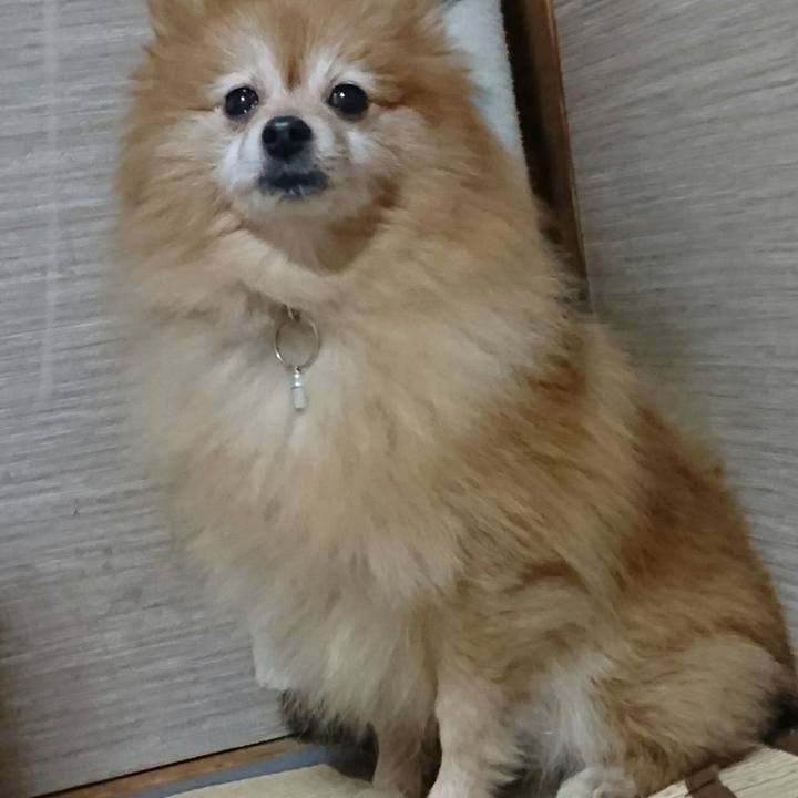 Ca726c06 d079 42a1 9a1c 7671828f1010