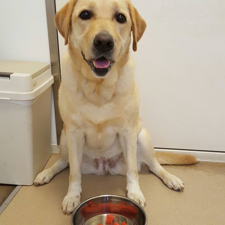 Ca728c01 57ae 4e5b a79c 10943cfc745b