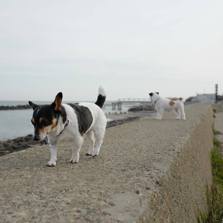 Ca729bb2 95a9 4130 adaa 8bf3b0fb0544