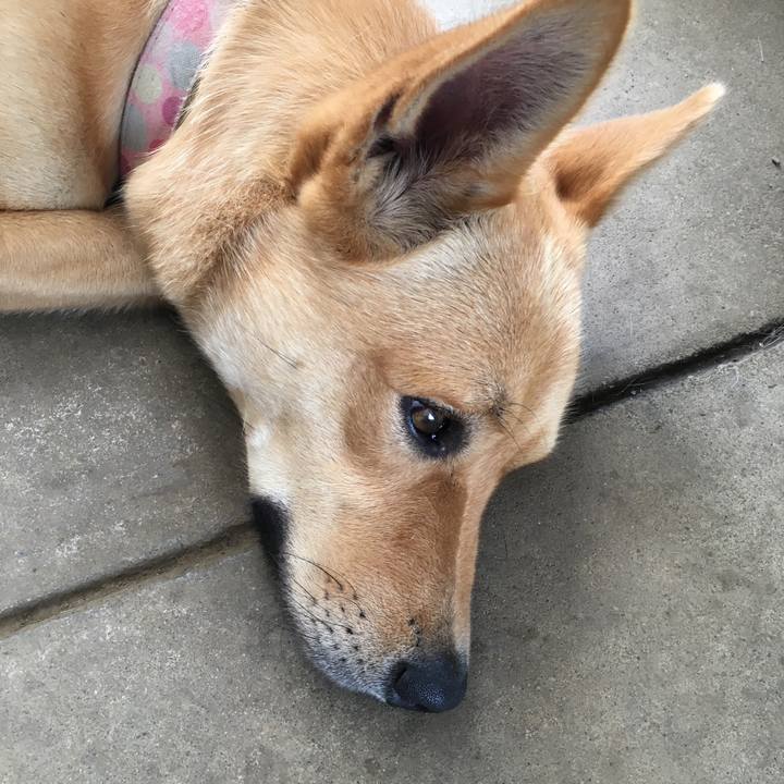 Ca7365b7 78c0 4157 86d7 fb3d383eb7b6