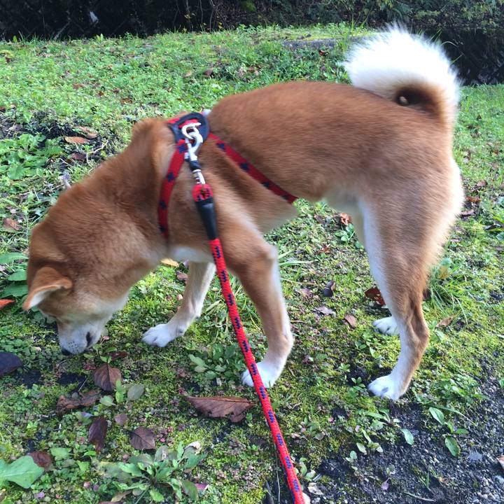 Ca738f0f c1e6 4b92 9fe7 610d4dfe9284