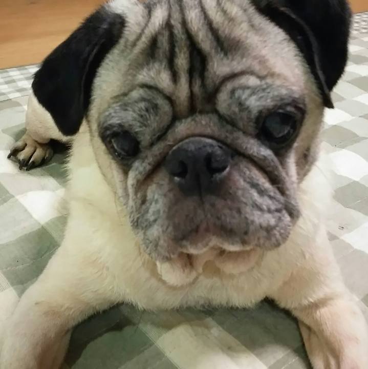 Ca7402f9 7823 4382 8643 96544c343fe2