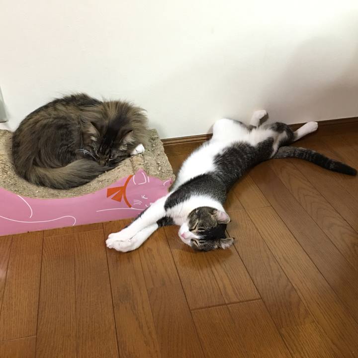 Ca7405b9 36a4 4ef5 a239 15d0b78bd697