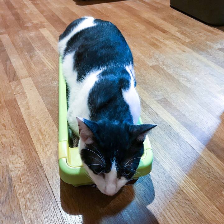 Ca741367 a539 4806 b2ba df20696691b2