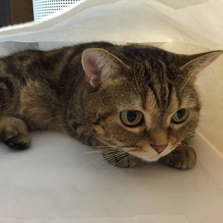 Ca746561 aaaf 4ad4 adac 6c5d8f19661a