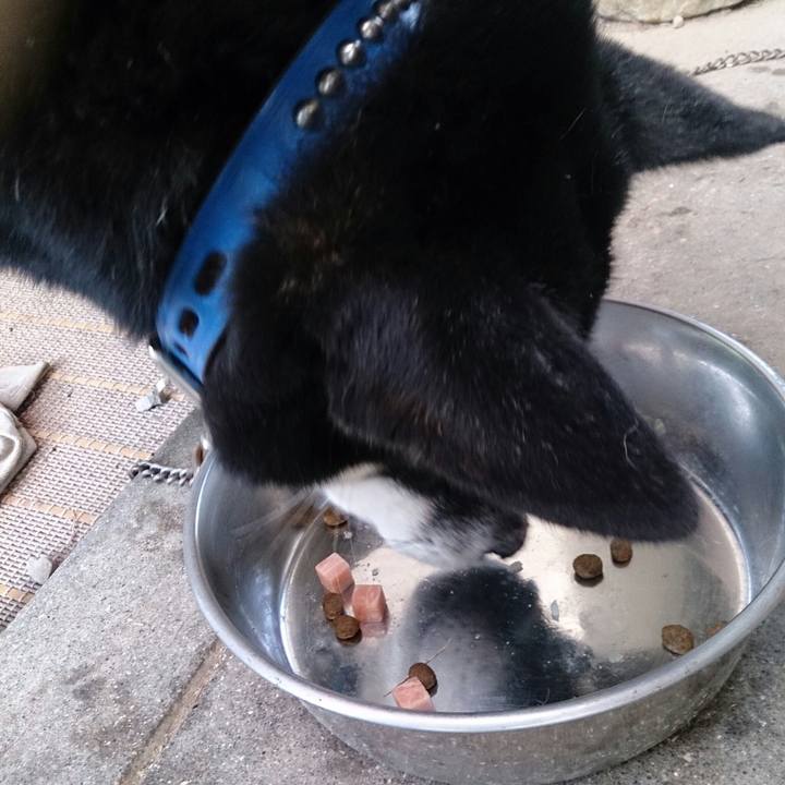 Ca7611bf baca 4ae7 b60d 2e339ad2db2b