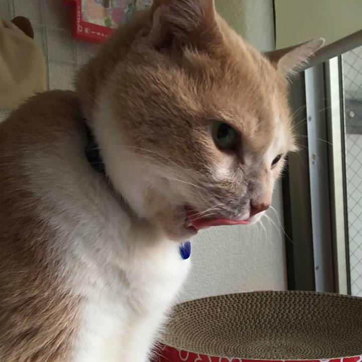 Ca76d0a6 7f0c 4078 96ea 355a057a1ac2